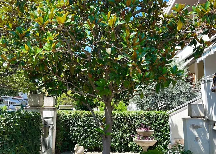 Villino Con Giardino Privato * 圣贝内代托-德尔特龙托